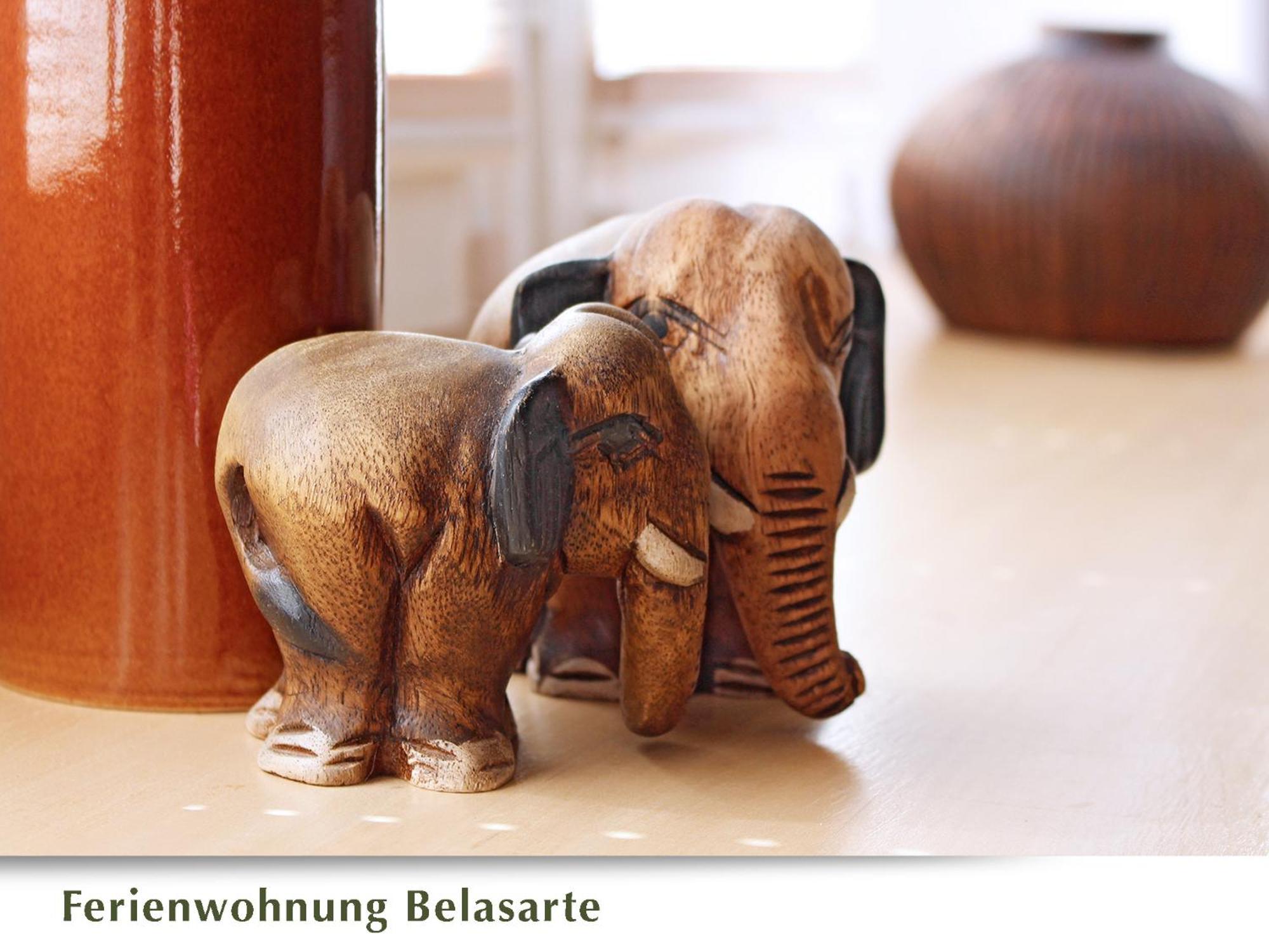 Ferienwohnung Belasarte Bad Elster Extérieur photo