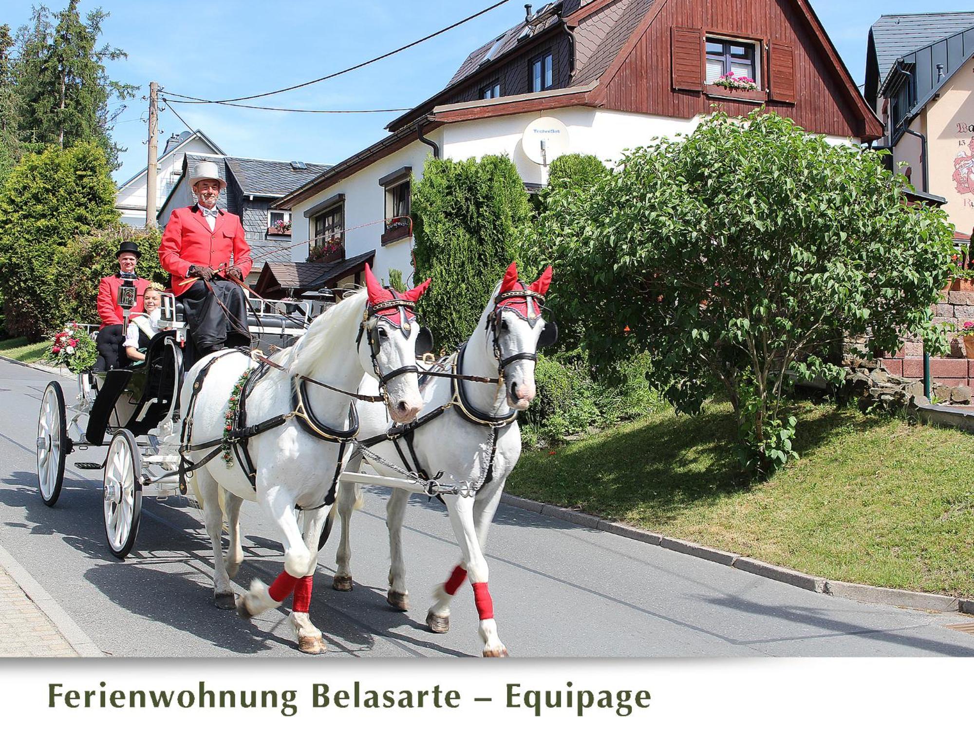 Ferienwohnung Belasarte Bad Elster Extérieur photo
