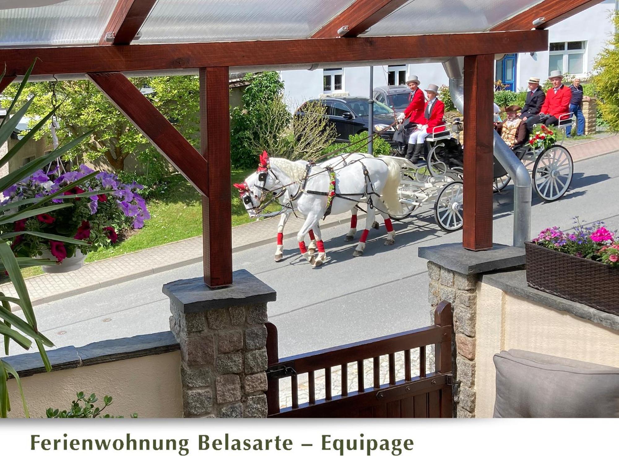 Ferienwohnung Belasarte Bad Elster Extérieur photo
